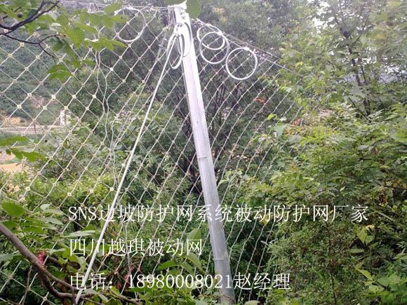 供应用于钢绳栏石头的四川被动网RX025/050生产厂家四川越琪