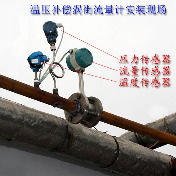 供应用于蒸汽流量计的广州蒸汽表，广州蒸汽流量计厂家