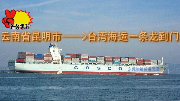 加达专业台湾海运服务/欢迎来电批发