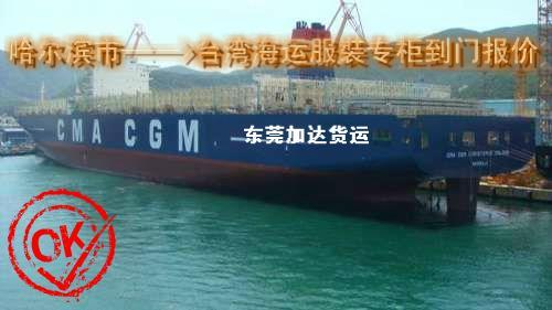 供应哈尔滨到台湾海运服裝专柜到门服务 知名的台湾货代专家--加达货运