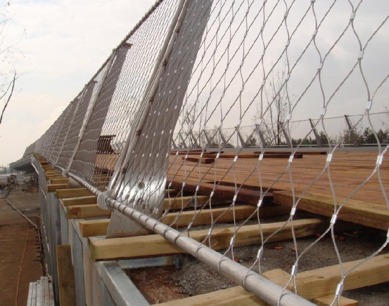 供应专业生产钢丝绳网系列产品动物园围网楼梯防护网