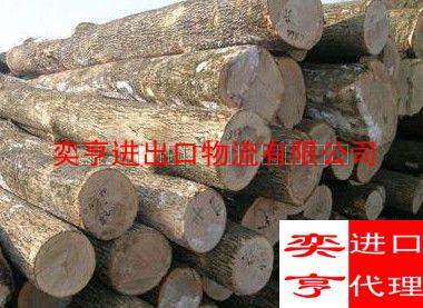 越南木材进口报关批发