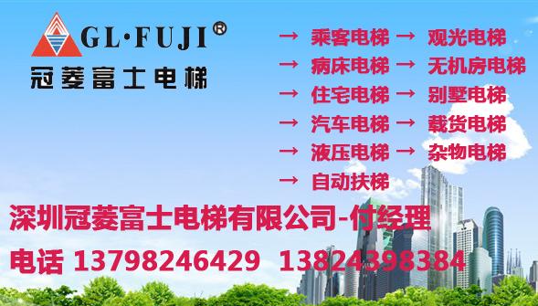 深圳载货电梯销售 龙岗乘客电梯销售 宝安简易货梯销售