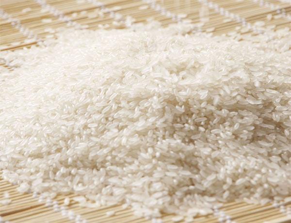 供应中国五常大米稻花香，中国五常大米稻花香厂家直销，中国五常大米稻花香大量批发优惠价格