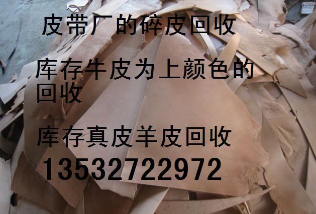 供应真皮碎皮张皮回收公司—上海回收库存张皮牛皮废皮收购站图片