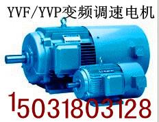 供应G系列YVP变频电机生产厂/优势/价格