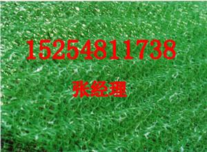 供应安徽三维土工网垫 优质材质三维网垫应用图片