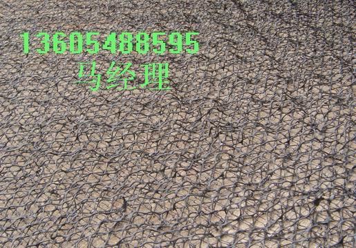 三维土工网垫是非常理想的土壤植被防护材料三维网垫21