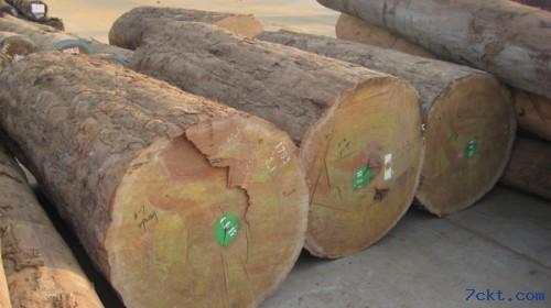 南洋胡桃木原木木方板材无单证进口木材非濒危证代理图片