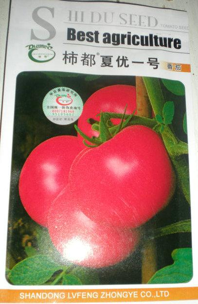 柿都夏优一号番茄种子供应柿都夏优一号番茄种子西红柿种子出售价格顺禾源种子公司