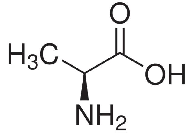 供应L-丙氨酸 分子试剂图片