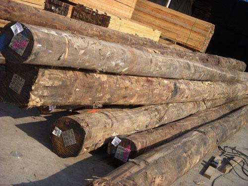 上海木材进口报关木材进口清关公批发