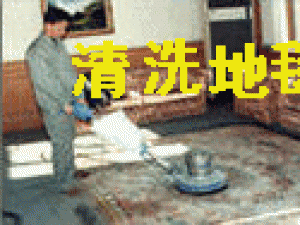 上海浦东地毯清洗 浦东东方路地毯清洗电话50332376