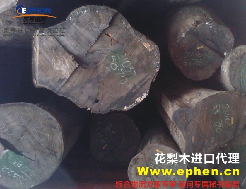 东南亚木材进口代理/上海原木进口批发