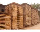 美国木材进口上海原木进口审价问题批发