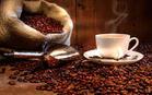 供应中国特种咖啡协会全力支持6月广州