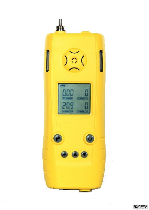 供应便携式泵吸型多参数气体检测报警仪CD4/B图片