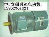 YVP系列变频调速电动机厂价直销批发