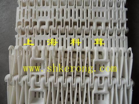 供应塑料网带TTBS上海塑料网带厂家