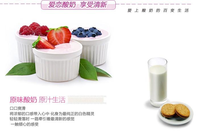 供应怎样用酸奶机做酸奶酸奶机好用吗SKG全自动酸奶机