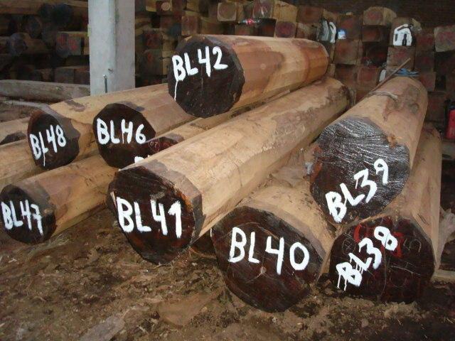 深圳市广东南美木材进口审价查询报关厂家