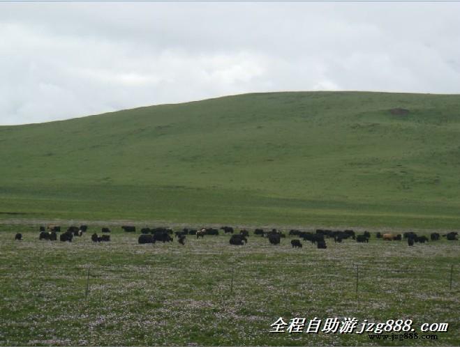 供应初冬的九寨沟自助游童话世界旅游