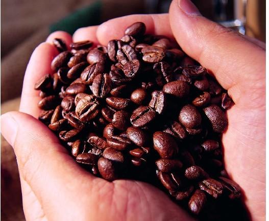 供应西班牙咖啡代理进口报关流程