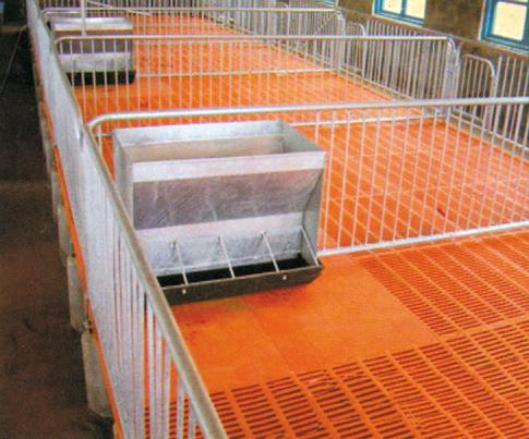 供应猪场配套设备母猪定位栏母猪产床厂家定位栏厂家保育床厂家