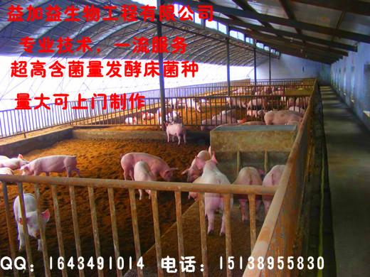 供应益加益发酵床养猪制作技术原理养猪发酵床专用菌种价格是多少