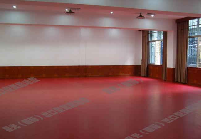 专业生产舞蹈专用地胶、舞蹈地胶/舞蹈地板/舞蹈地板胶、舞蹈房地胶