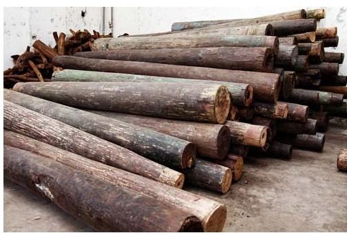 供应泰国进口木材报关报检的流程和备案