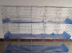 9笼种兔笼母子兔笼，兔笼，兔子笼，兔笼厂家