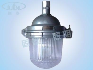 供应灯、灯具-照明电器 防眩泛光灯  GTZG3550图片