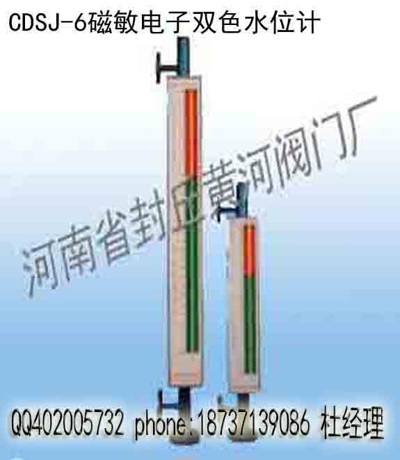 CDSJ-6型磁敏电子双色液位计批发