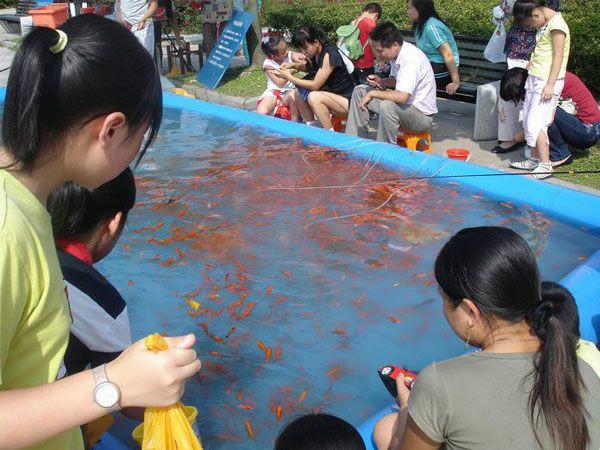 北京市北京充气海洋球池及钓鱼池出租厂厂家