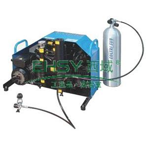 呼吸器充气泵_价格_呼吸器充气泵_规格_呼吸器充气泵_厂家图片