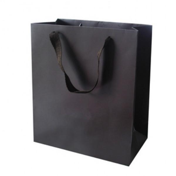 供应企业形象纸袋定做 购物袋设计定做 礼品袋厂家定做 一条龙服务