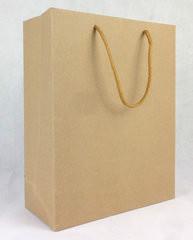 供应佛山纸袋设计创意佛山纸袋厂优质佛山纸袋