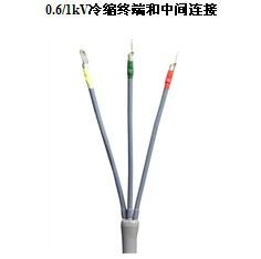 供应天津1KV冷缩型电缆终端,天津长园直销1KV冷缩型电缆终端正品图片