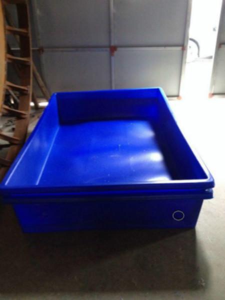 供应金鱼水槽孵化桶养殖桶图片