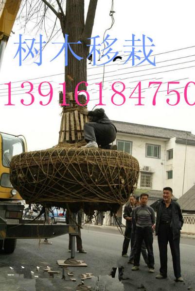供应上海杨浦区控江路汽车吊出租设备搬迁