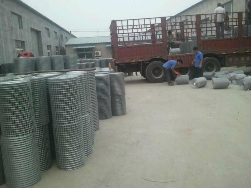 锌电焊网厂家 价格 供应商 昆山锌电焊网