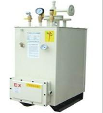 供应热水循环式50kg燃气气化器图片