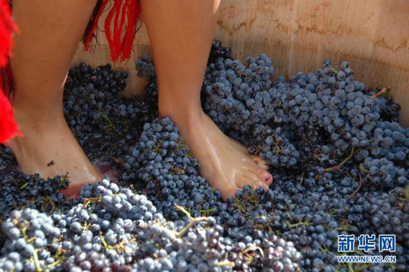 智利葡萄酒进口到上海口岸清关流程供应智利葡萄酒进口到上海口岸清关流程