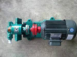 供应茁博品牌上海2CY3.3/0.33润滑油齿轮泵，润滑油泵，润滑泵