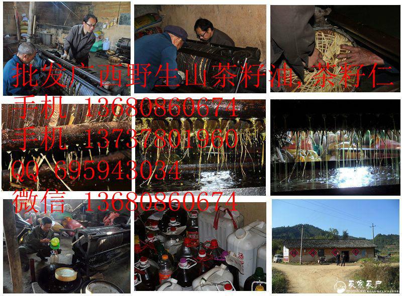 桂林市广西野生山茶油价格广西野生茶籽厂家