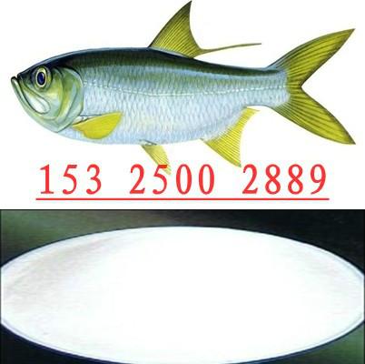 温州市新型聚鱼诱食添加剂DMPT诱鱼剂厂家