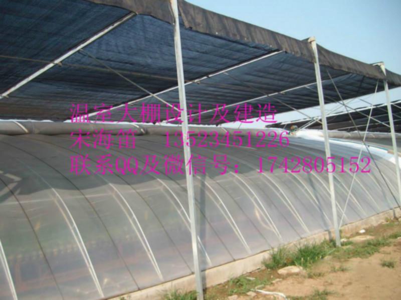 郑州市河南建造日光温室厂家供应河南建造日光温室