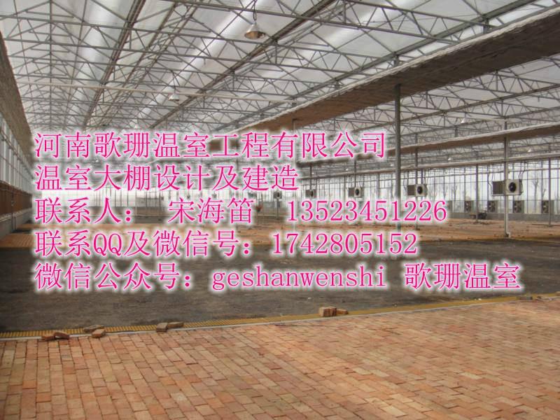 郑州市PC板-玻璃温室大棚厂家供应PC板-玻璃温室大棚/青海阳光板温室建造设计