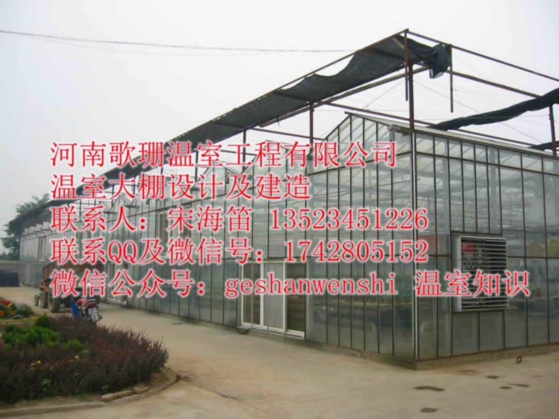 供应陕西玻璃温室建造/设计/施工